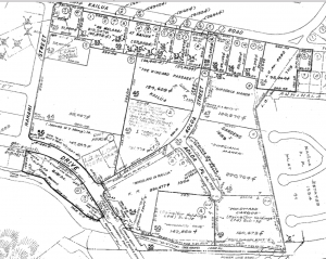 City & County Plat Map | detail                                         